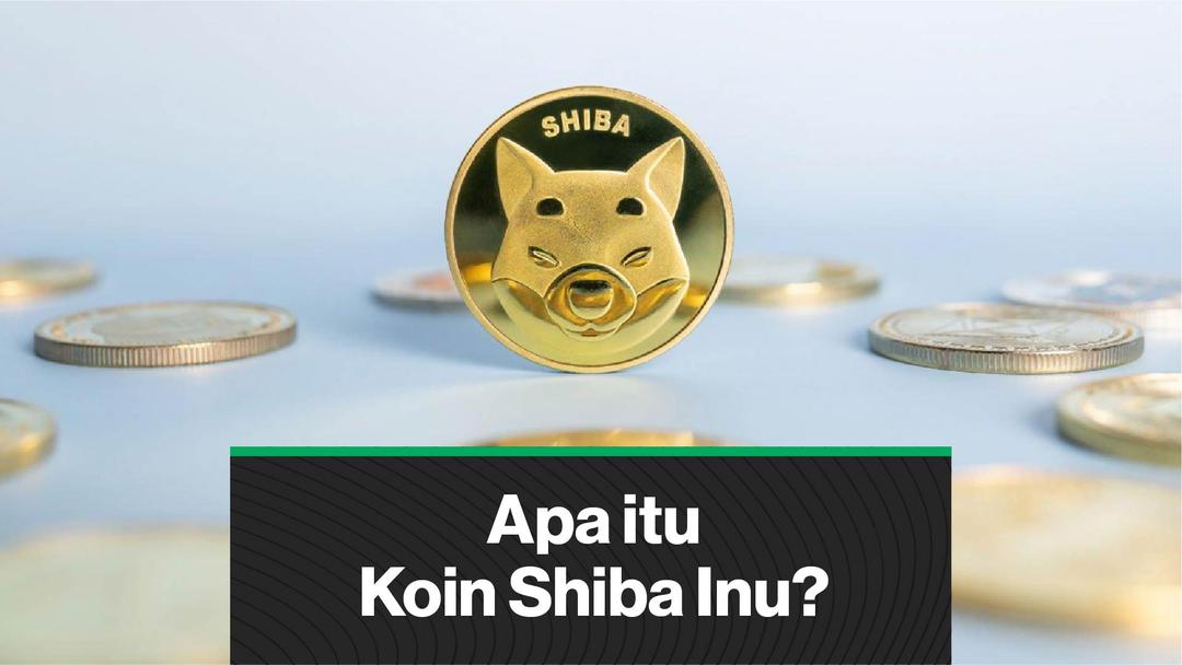 coindesk shib